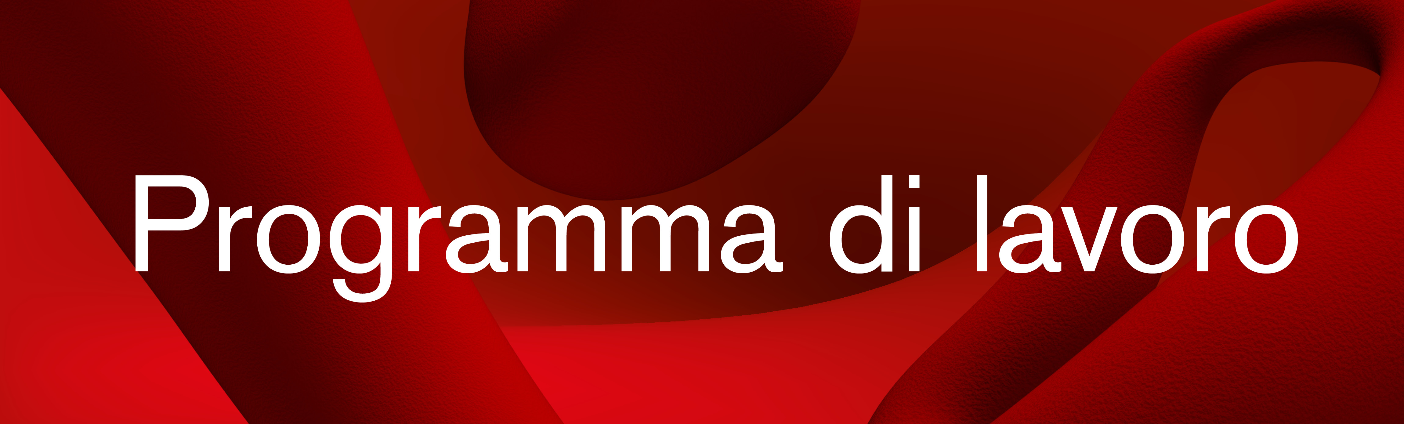 Programma di lavoro